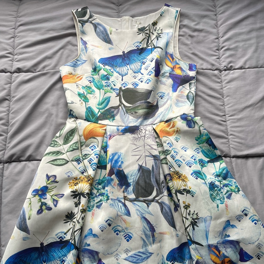 Next Patterned Blue Dress